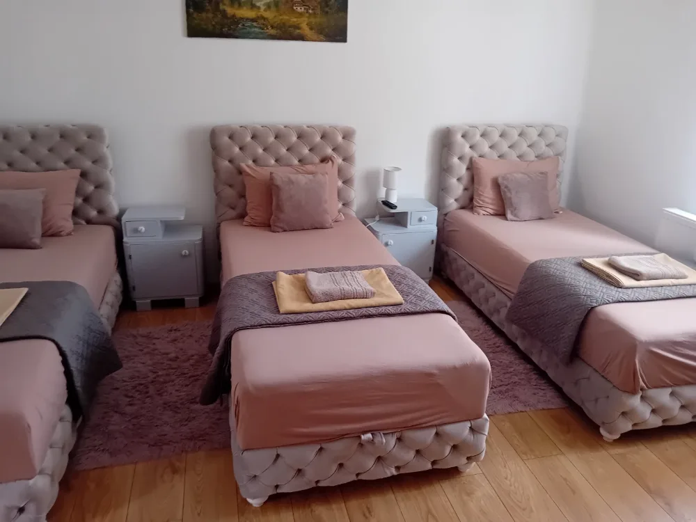 Soba s tri kreveta, Zlatna vila Kanjiža